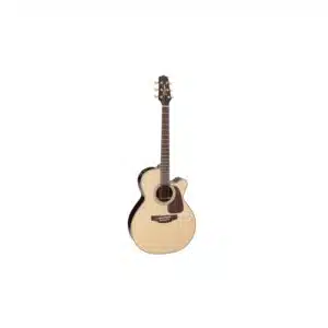 Takamine P5NC w/Softcase