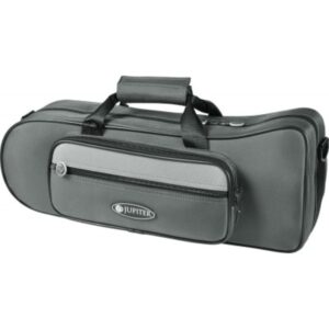 Jupiter JTR500Q - Sib Vernie - Etude