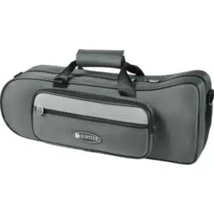 Jupiter JTR500Q - Sib Vernie - Etude