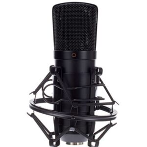 the t.bone SC 400 + Popkiller