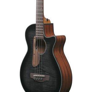 Ibanez AEGB25E-TKH Transparent Black Sunburst
