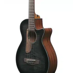 Ibanez AEGB25E-TKH Transparent Black Sunburst
