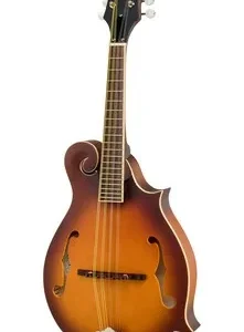 Mandolina musical acústica Epiphone F-5 Studio VS Satin de forma F