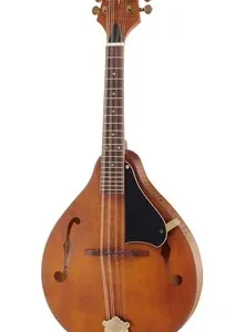 Mandolina musical acústica GEWA Mandolin A-Antique con estuche