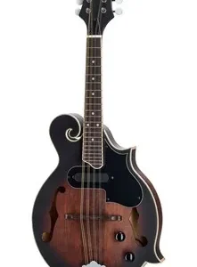 Mandolina musical electroacústica Ortega RMFE30-WB de forma F