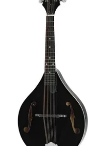 Mandolina musical Recording King RAM-3-BK negra de forma A