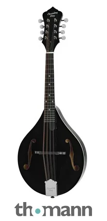 Mandolina musical Recording King RAM-3-BK negra de forma A