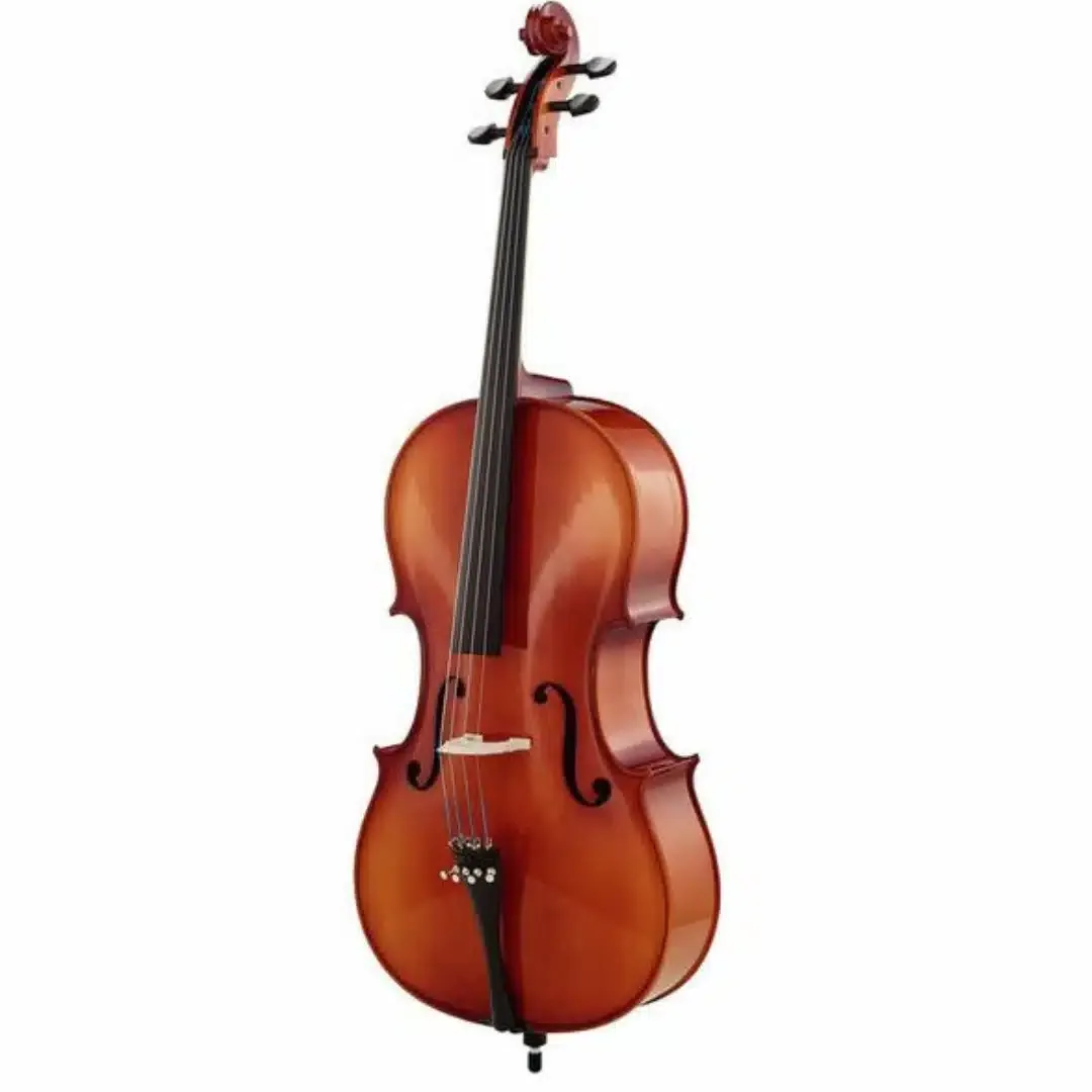 Roth & Junius Europe 4/4 Student Cello Set con arco y funda