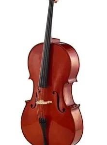 Roth & Junius RJC Cello Set 4/4 con arco compuesto y funda