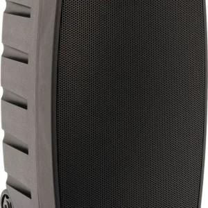 Algam Audio TR12-BT cassa karaoke PA con due microfoni UHF (nera)