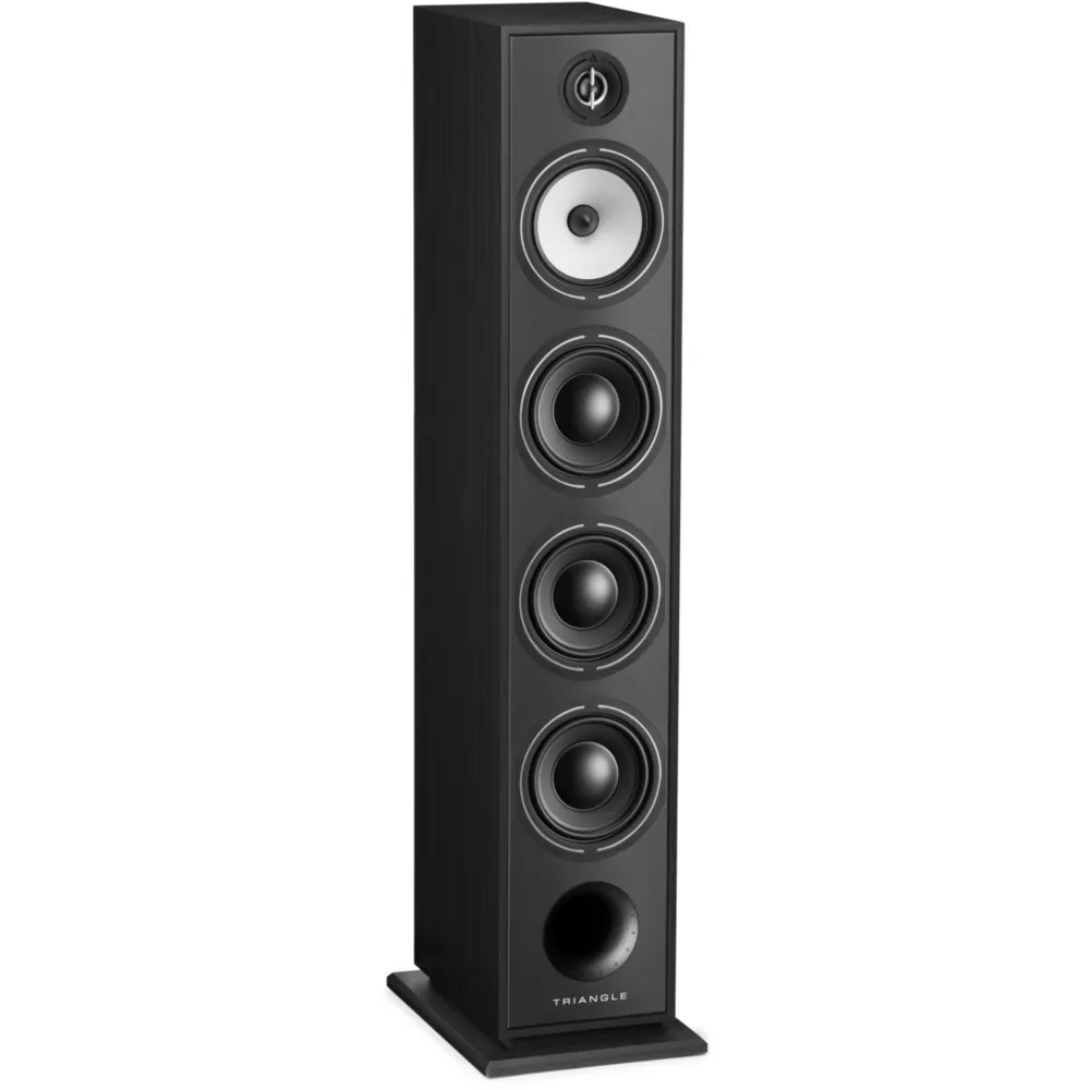 Home 80 Enceinte colonne Triangle Borea BR09