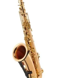 Yanagisawa T-WO2, saxofón tenor profesional de bronce