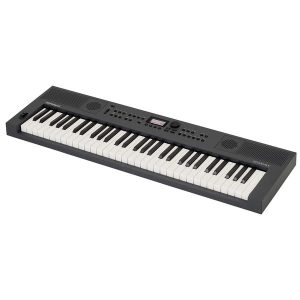 Roland GO:KEYS 5, clavier arrangeur avec entrée microphone
