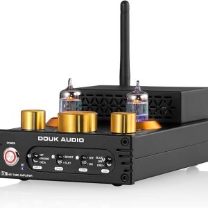 Douk Audio X1, amplificatore stereo a valvole JAN5654 con Bluetooth