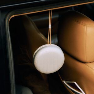Bang & Olufsen Beosound A1 terza generazione, diffusore Bluetooth compatto