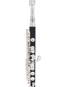 Thomann PFL-200 Piccolo – ottavino mostrato nel comparativo Feria Musica