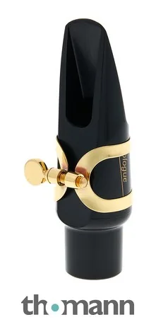 Selmer Alto Sax Prologue 9 Selmer Alto Sax Prologue – vista del prodotto